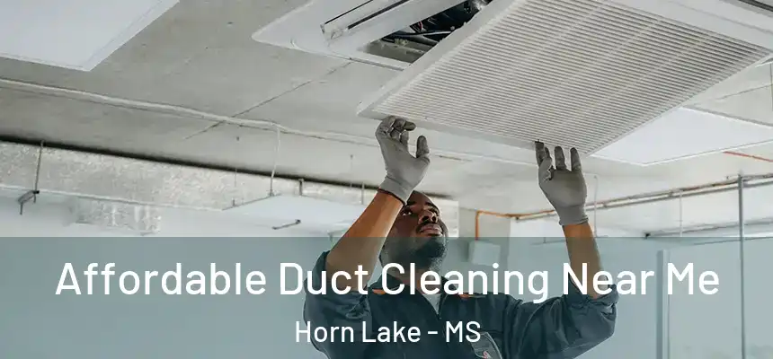  Affordable Duct Cleaning Near Me Horn Lake - MS