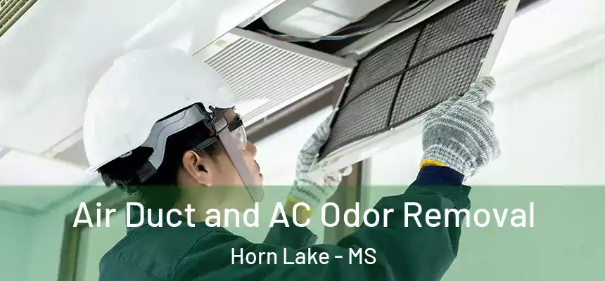  Air Duct and AC Odor Removal Horn Lake - MS