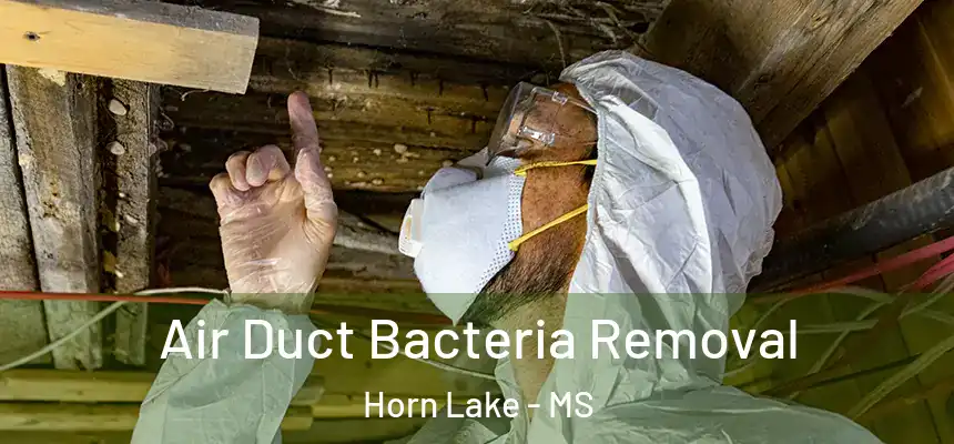  Air Duct Bacteria Removal Horn Lake - MS