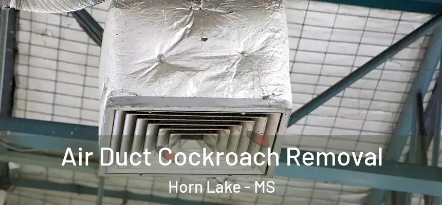  Air Duct Cockroach Removal Horn Lake - MS
