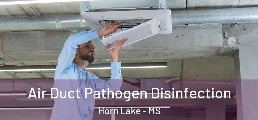  Air Duct Pathogen Disinfection Horn Lake - MS