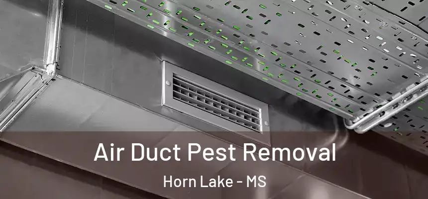  Air Duct Pest Removal Horn Lake - MS