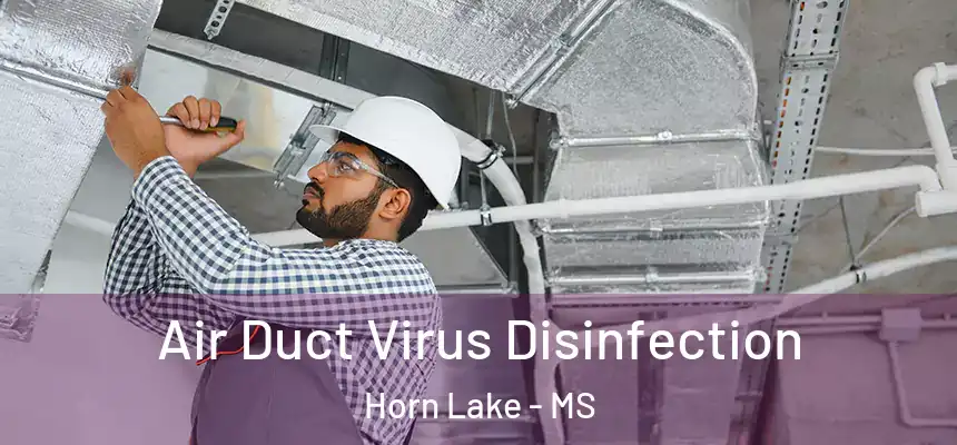 Air Duct Virus Disinfection Horn Lake - MS
