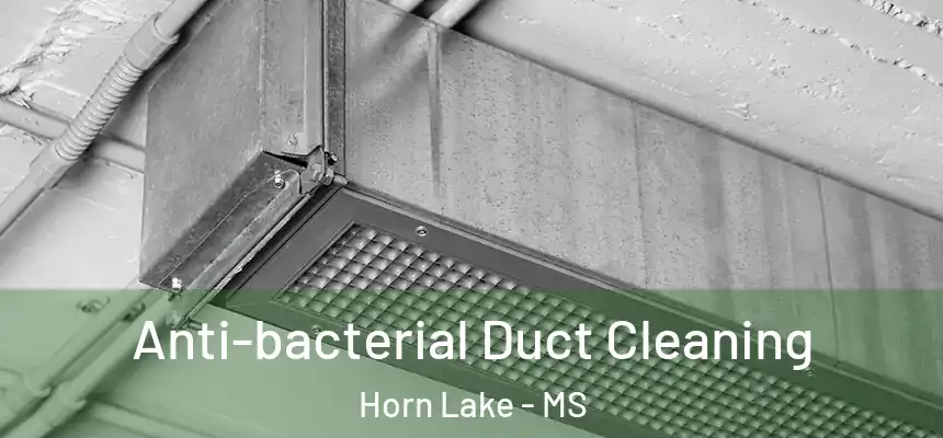  Anti-bacterial Duct Cleaning Horn Lake - MS