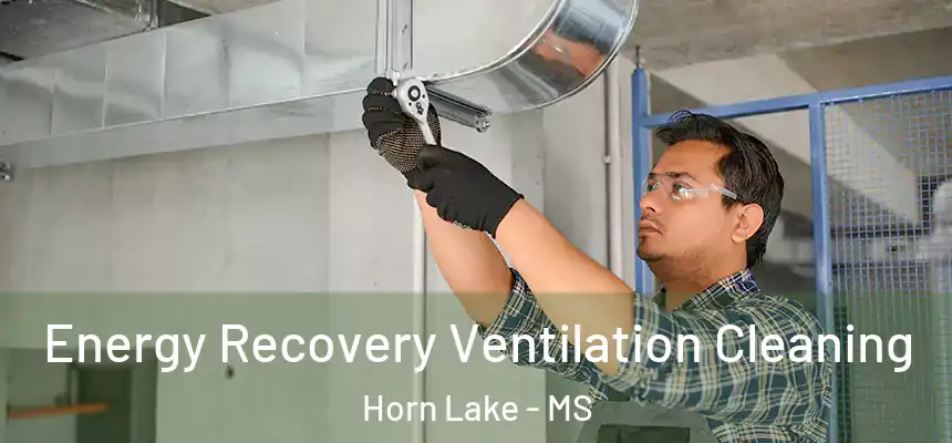 Energy Recovery Ventilation Cleaning Horn Lake - MS