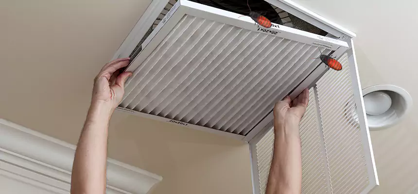 Preventive Cockroach-Proofing for Ducts in Horn Lake