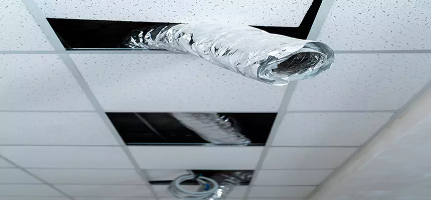 Our Air Duct Pet Hair Removal Services in Horn Lake, MS