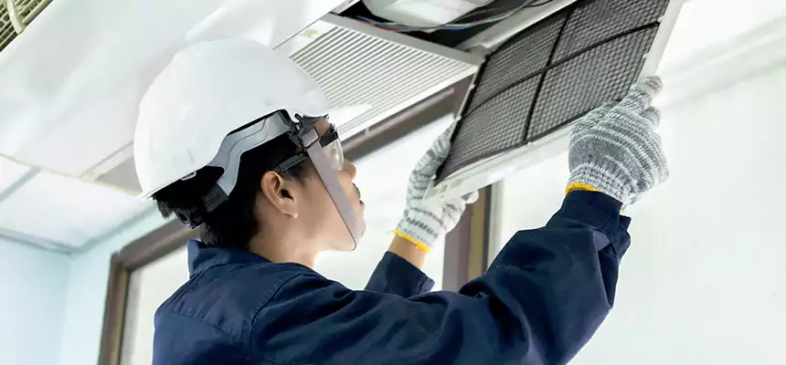 Our Mold & Mildew Removal from Air Ducts Services in Horn Lake, MS