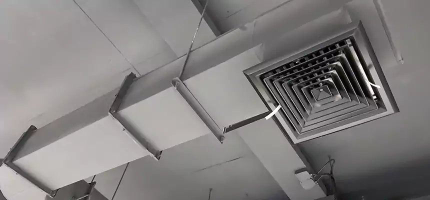 Our Pest Removal From Ducts Services in Horn Lake, MS