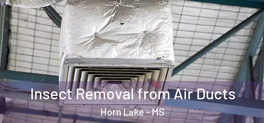  Insect Removal from Air Ducts Horn Lake - MS