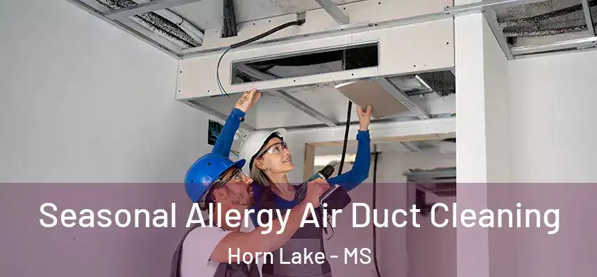  Seasonal Allergy Air Duct Cleaning Horn Lake - MS