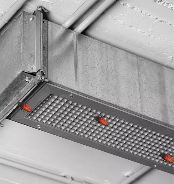 About Air Duct Cockroach Removal in Horn Lake, MS