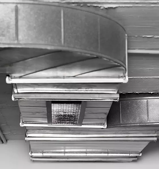 Professional Air Duct Pet Hair Removal in Horn Lake, MS