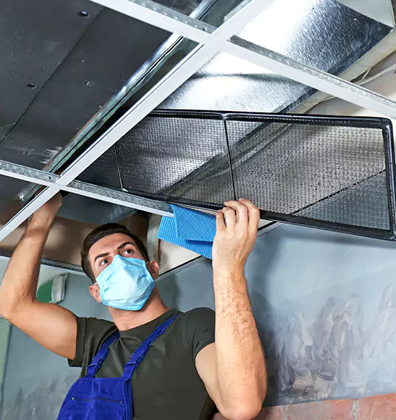 Professional Air Duct Pollen Cleaning in Horn Lake, MS