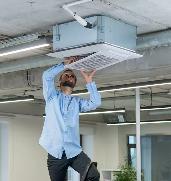 Advanced Rodent Droppings In Vents in Horn Lake, MS
