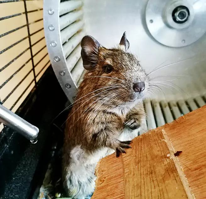 Why Homeowners & Businesses Trust Us Horn Lake, MS