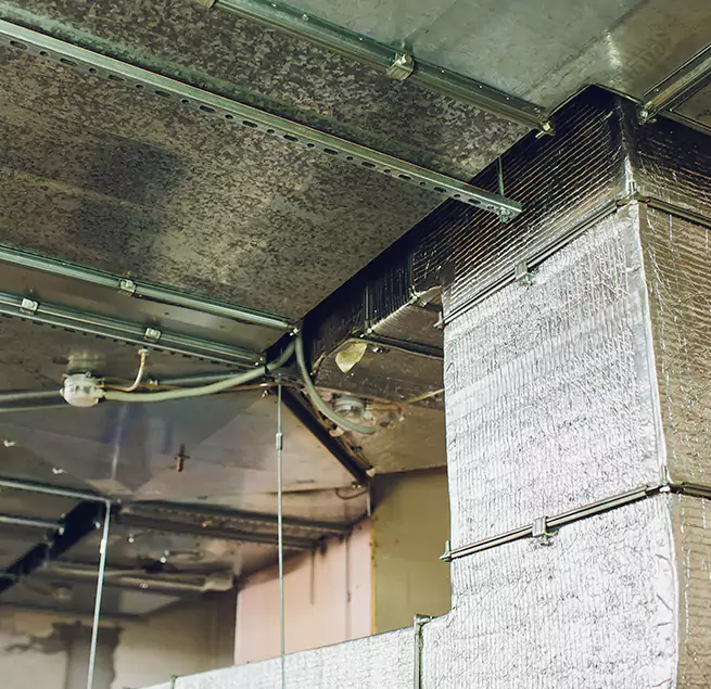 Why Homeowners & Businesses Trust Us in Horn Lake, MS?