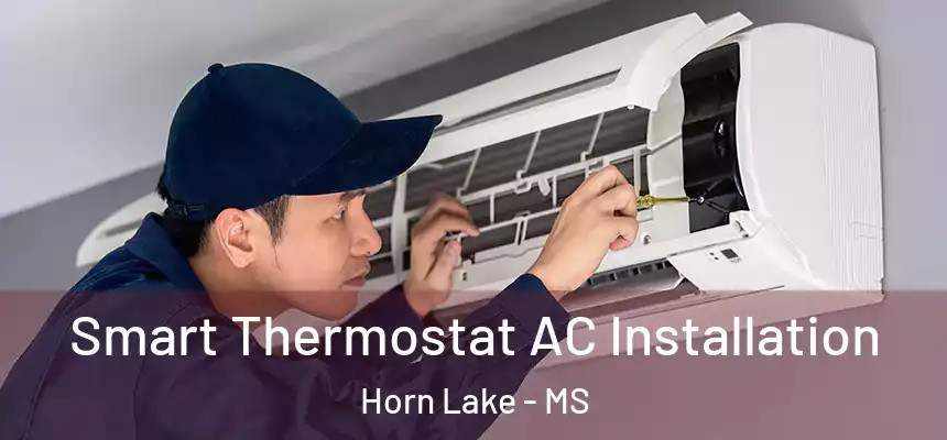  Smart Thermostat AC Installation Horn Lake - MS